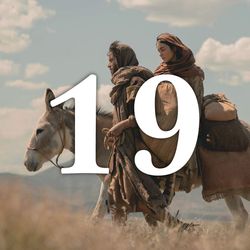 19. Tag